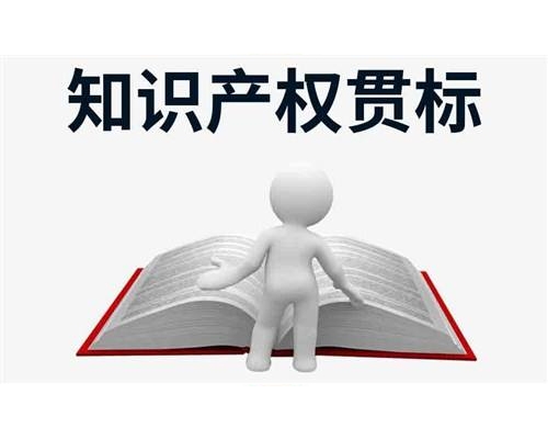 广东 知识产权贯标