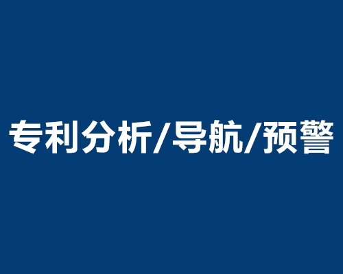 丽水专利分析/专利导航/专利预警/专利布局